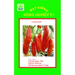 Gói 30 hạt giống cà chua chuối