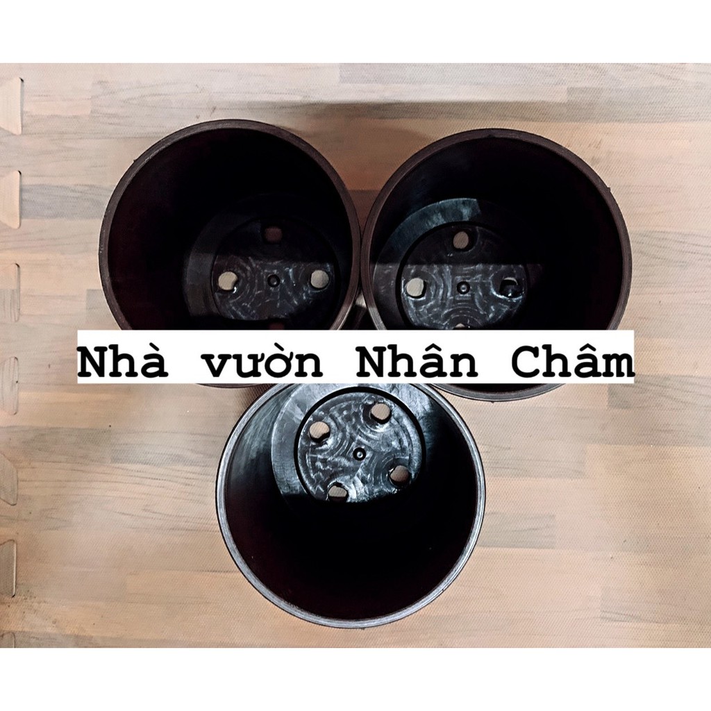 Chậu tròn dáng thẳng đứng, tròn trụ TTR12