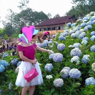 Đầm đẹp lộng lẫy (đi dự tiệc)