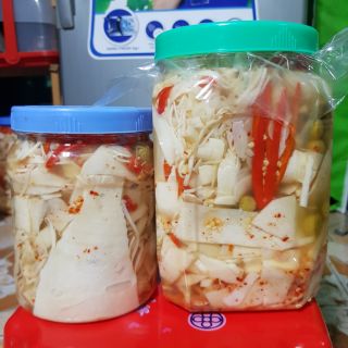 [MĂNG ỚT] MẮC MẬT - MĂNG RỪNG TÂY BẮC