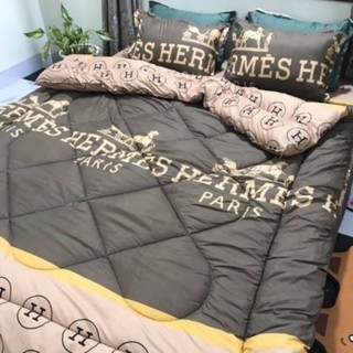 (rẻ vô địch) Bộ chăn phao ruột bông ga gối poly combo 5 món (được lựa chọn HOT nhất năm 2020 như hình)
