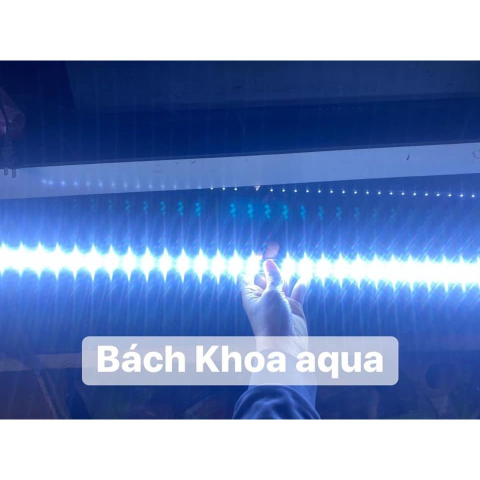 Led thanh Fort Di Siêu Rẻ 50cm