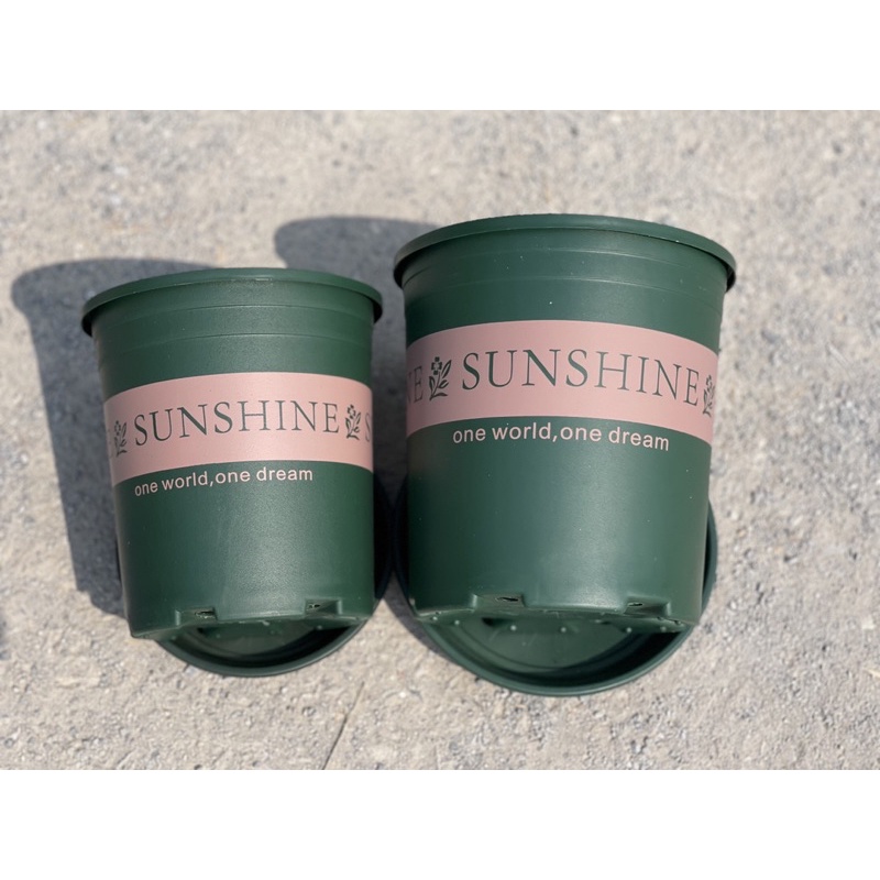 Chậu nhựa trồng cây Sunshine 5 GL/6GL nhập khẩu TQ, chậu trồng cây để bàn, ban công, ngoài trời,