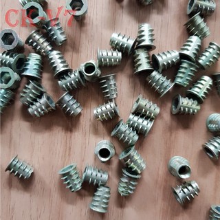 Túi ốc cấy gỗ phi 6 - 100 con