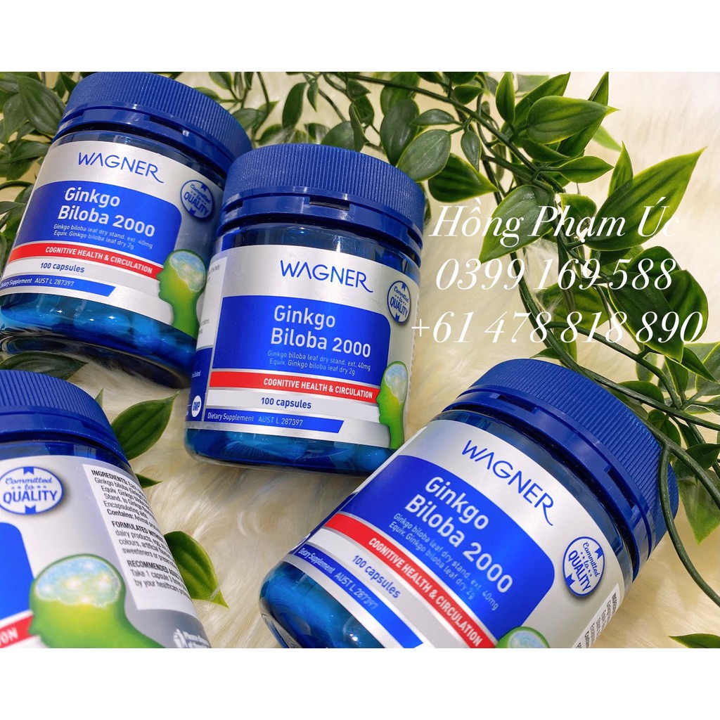 Wagner Ginkgo Biloba 2000  - Bổ não hãng Wagner - Date 1/2025