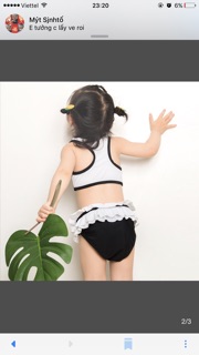 Sét bộ bơi thiên nga đen