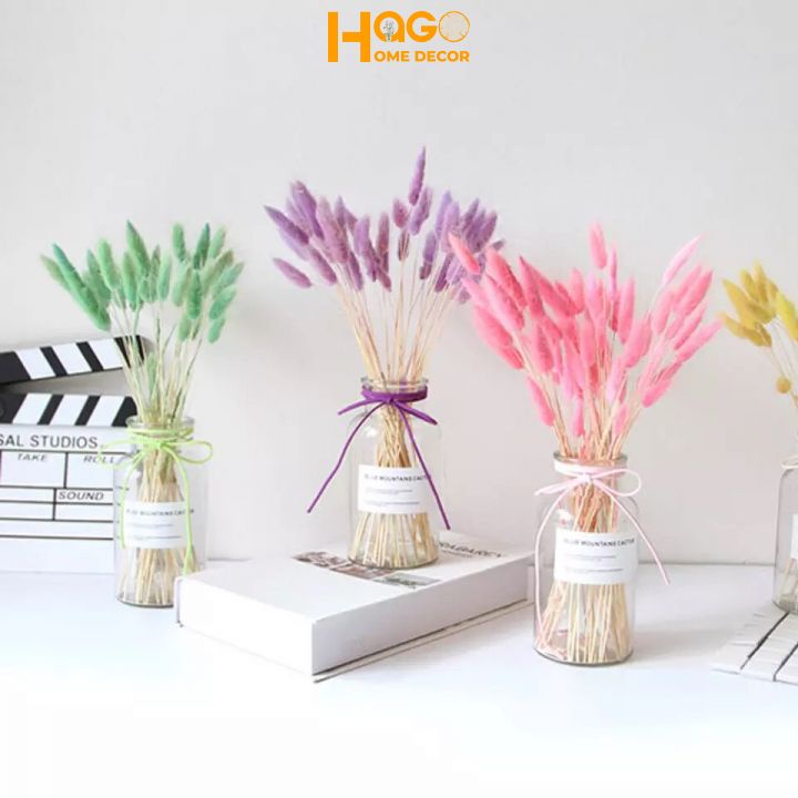 Hoa khô, lọ hoa thủy tinh kèm hoa đuôi thỏ,cỏ lau Mỹ cắm sẵn cao 25cm trang trí, decor nhà cửa