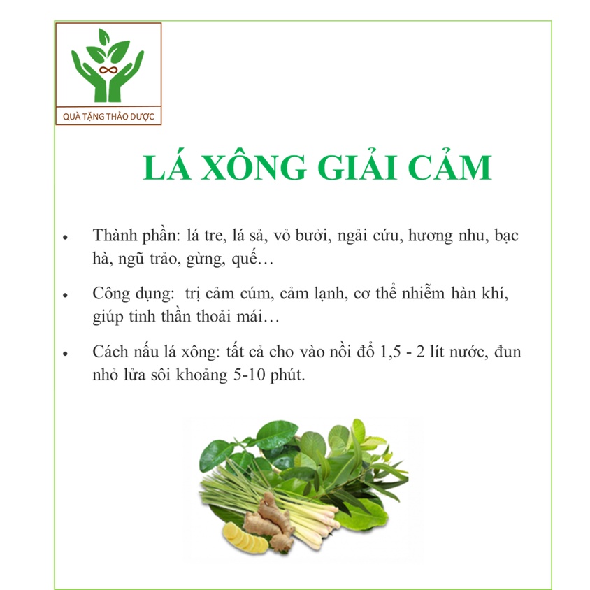 LÁ XÔNG TẮM