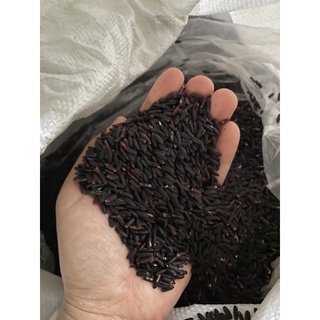 Gạo lứt đen đóng bao 2kg