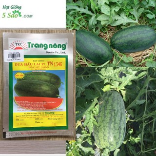 Dưa Hấu F1 TN 1346 - Hắc Mỹ Nhân