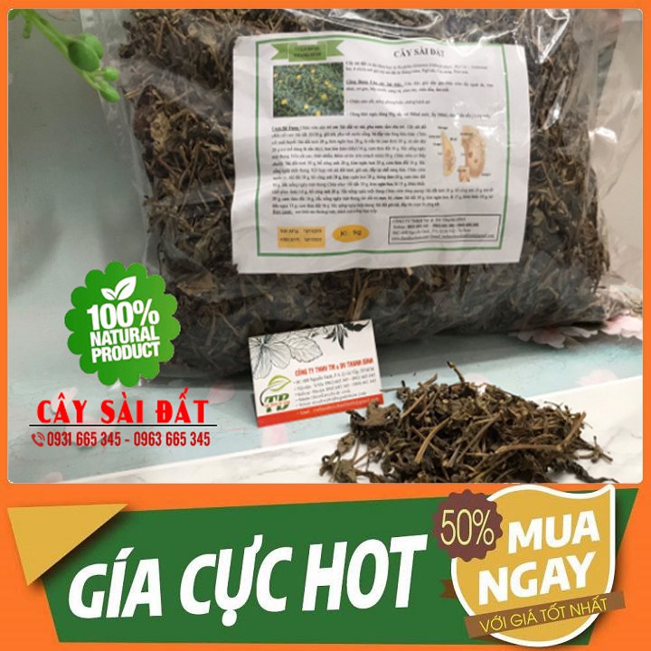 Cây Sài Đất Khô 500Gr - Loại 1 Chất Lượng