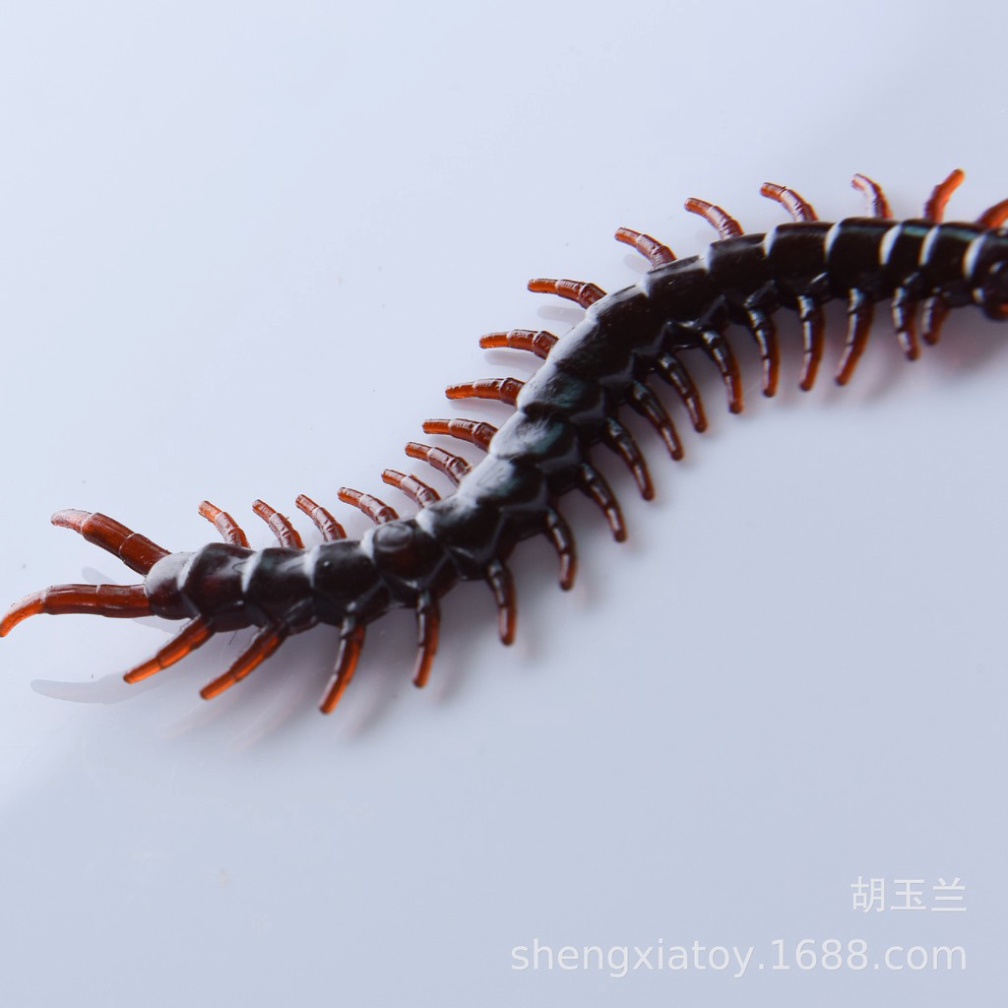 CON RẾT GIẢ côn trùng giả dùng để trang trí hoặc chơi khăm troll bạn bè