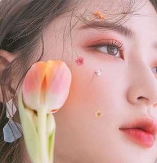 Phấn mắt tulip day