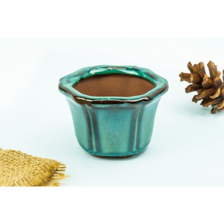 Chậu hỏa biến hình lục giác - Chậu trồng sen đá, xương rồng, cẩm nhung, bonsai mini