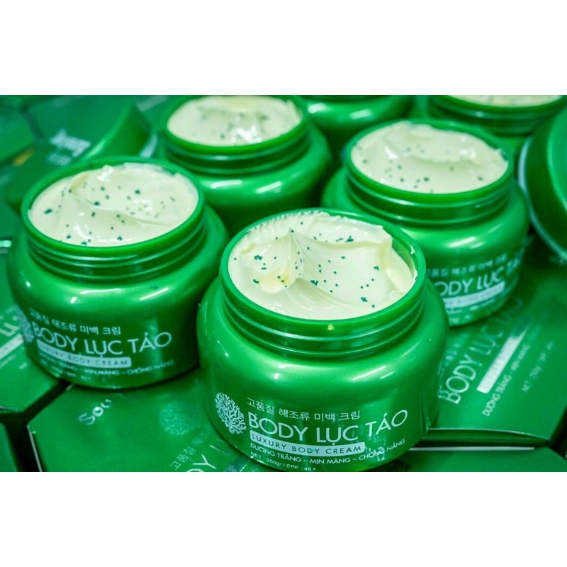 body diệp lục tảo