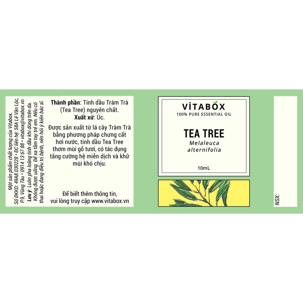 Tinh Dầu Tràm Trà (Tea Tree) - 100% Thiên Nhiên Nguyên Chất - Vitabox Natural Essential Oil