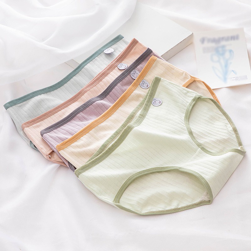 Quần Lót Cotton Lưng Vừa Màu Sắc Xinh Xắn Cho Nữ