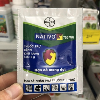 Chế phẩm NATIVO 750WG xử lý : đốm lá, phấn trắng, vàng lá, rỉ sắt, thán thư trên hoa hồng gói 6g