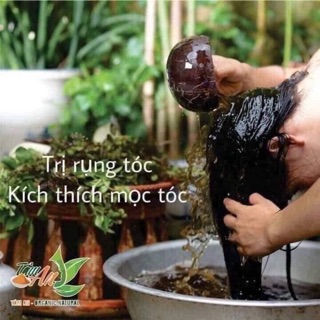 Cặp dầu gội bưởi