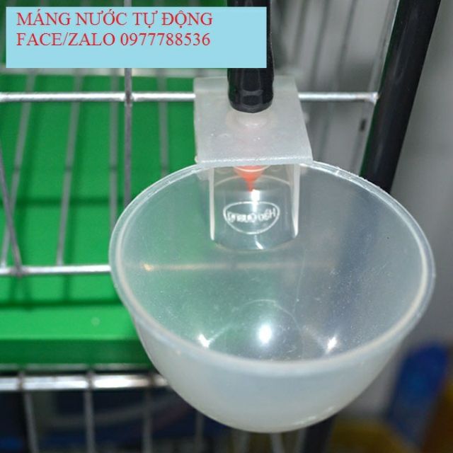 Máng nước tự động và T nối cho gà - bồ câu -Mua 10 tặng 1