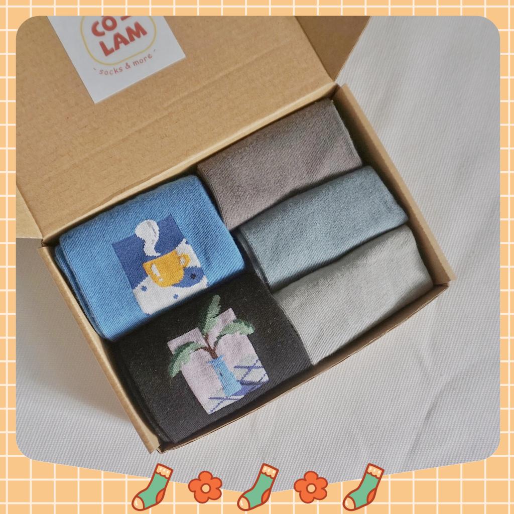 GIFT BOX 12_SET VỚ kèm hộp làm quà tặng