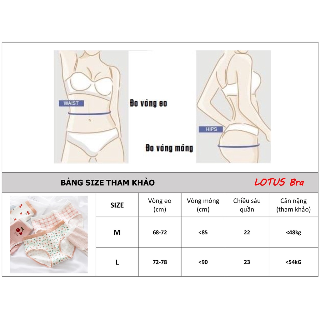 Set 5 quần lót nữ sinh NuciFera mẫu Cherry chất cotton mềm mát, co dãn nhiều SET88