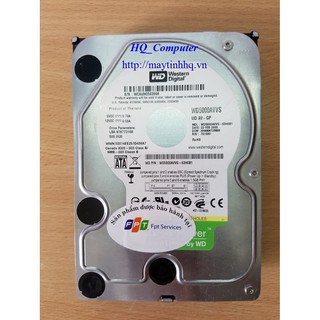 Ổ Cứng HDD  500GB Đã Cài Sẵn for PC