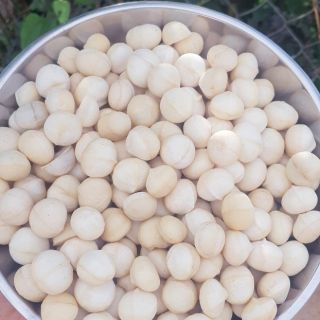 Hạt mắc ca