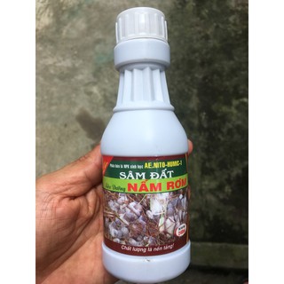 Siêu dưỡng nấm rơm - Sâm Đất