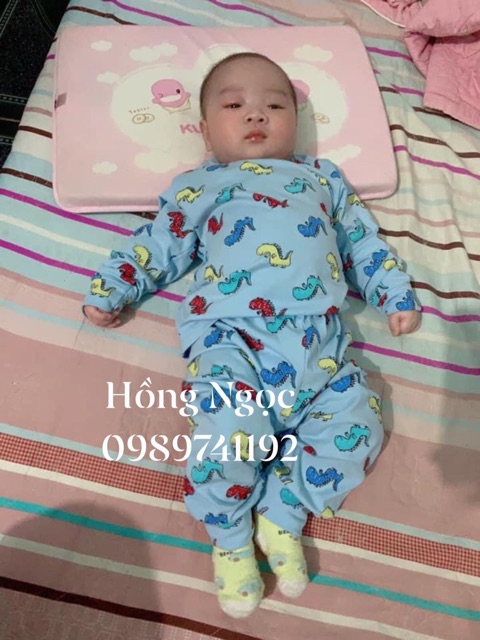 Sale bộ cotton xịn cho bé