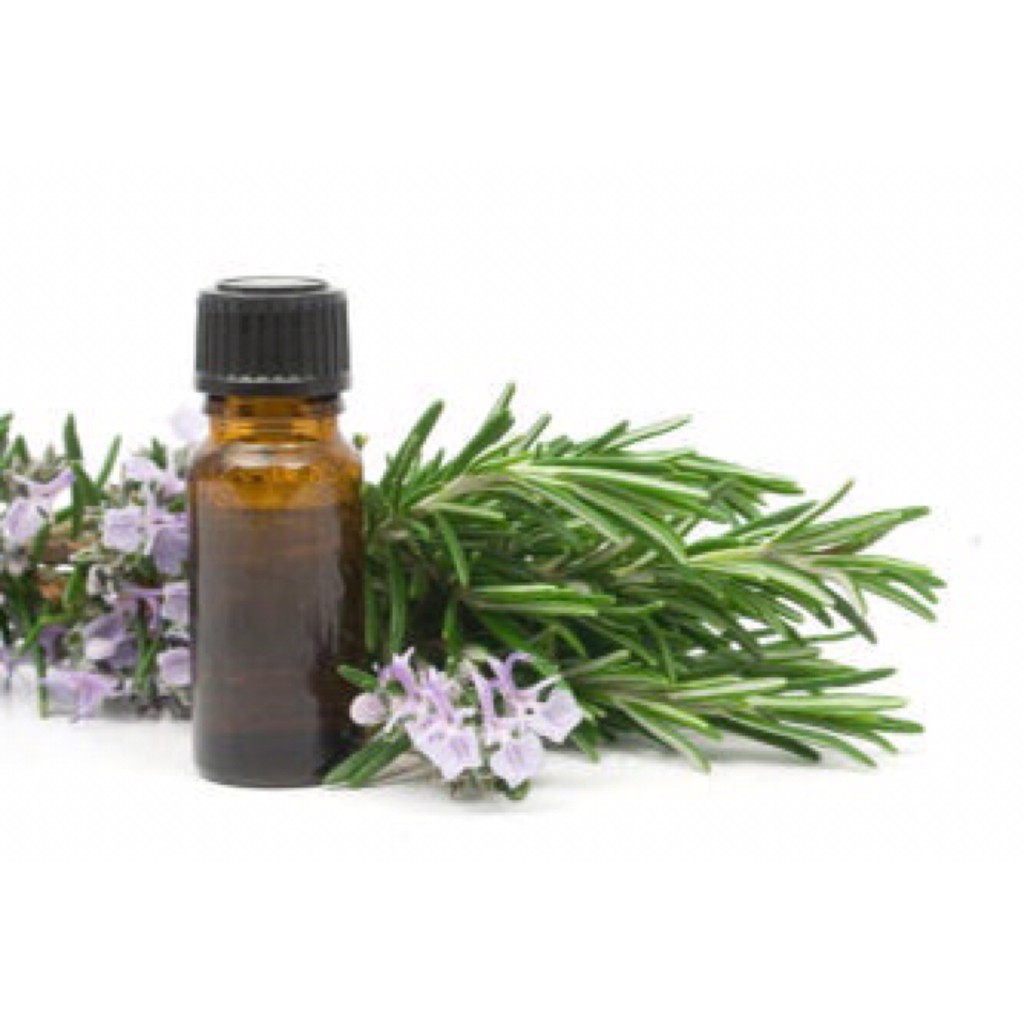 Tinh dầu hương thảo 10mL - ROSEMARY PURE ESSENTIAL OIL 100% chiết xuất tự nhiên