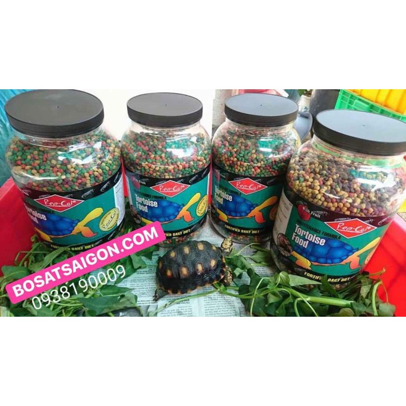 REPCAL RÙA CẠN  100-150-250-500gr - THỨC ĂN KHÔ RÙA CẠN SULCATA INDIA RED FOOT TORTOISE IGUANA RỒNG ÚC BD giá rẻ sĩ.