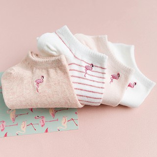 Set 4 tất nữ caramella hạc hồng