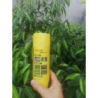 Ban chai Keo bẫy ruồi vàng, côn trùng đục quả dạng chai xịt 450ml