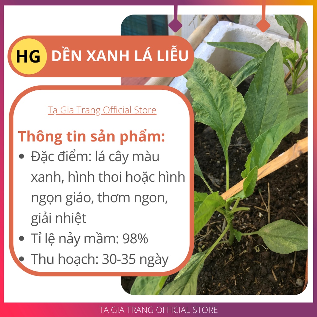 [Bán sỉ] - Hạt giống rau dền xanh lá liễu (rau dền xanh lá nhọn)