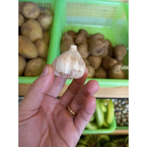 TỎI TA KHÔ