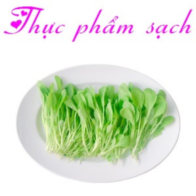 Hạt giống Cải Non Baby, hạt giống cải ăn non baby gói 20gr