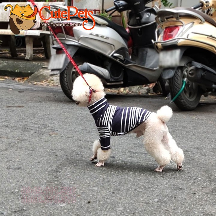 Áo thun cao cổ Hàn Quốc Urban Dành cho thú cưng - Cutepets