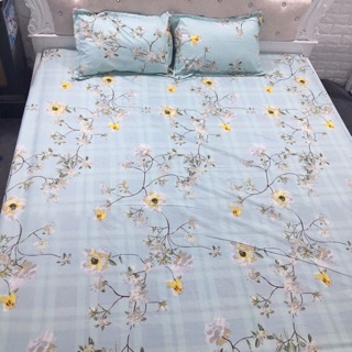 Ga chun 2 vỏ gối nằm poly cotton