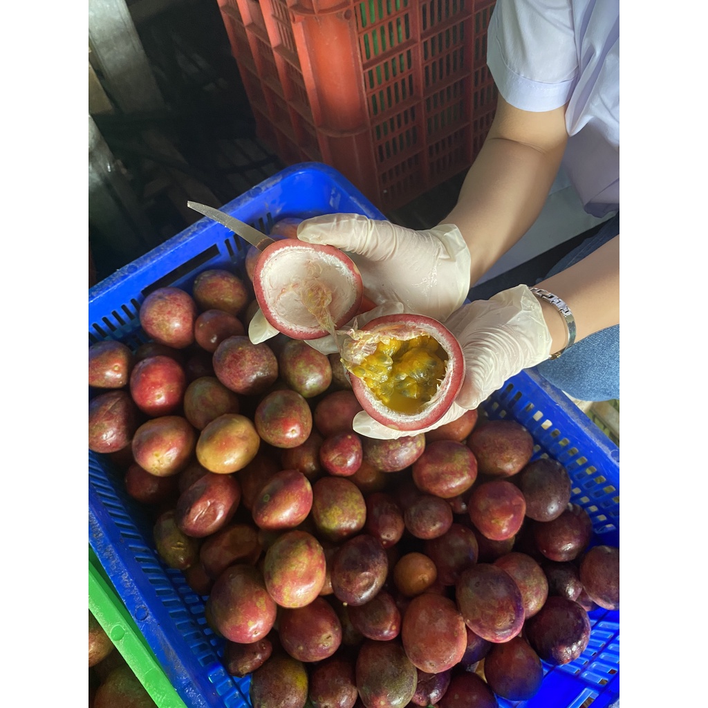 Chanh dây chia cost sẵn cho quán🍋FREE SHIP🍋tiện lợi, dễ quản lí