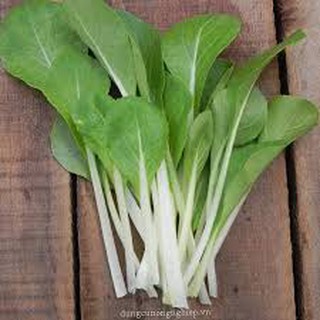 20gram HẠT GIỐNG CẢI BẸ TRẮNG