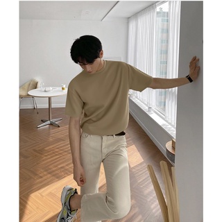 Áo thun Stee Basic Color VI Lion - Giá sỉ Unisex