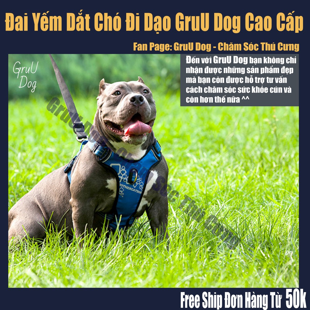 Đai dắt chó đi dạo GruU Dog cao cấp