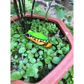 Mồi giả câu Lure cá lóc, nhái hơi Thái Lan