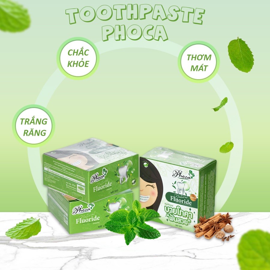 SKNM | Kem Đánh Răng Thảo Mộc Phoca 25g ® - Thái Lan