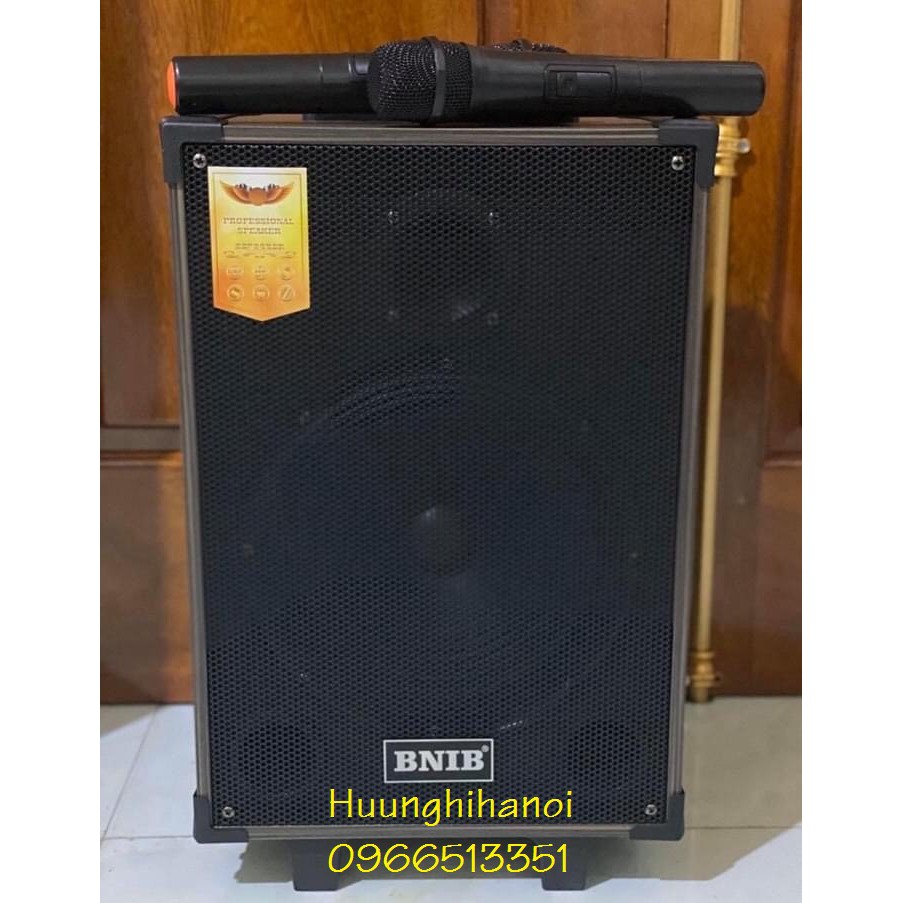 Loa karaoke hát hay giá rẻ BNIB T8 thùng gỗ bass 2 tấc tặng kèm 2 mic không dây hát karaoke, nghe nhạc cực hay