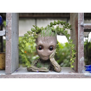 Chậu cây baby Groot độc đáo - Sen lá tim - Cắm bút