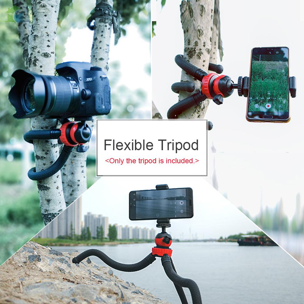 Chân đế đỡ 1/4 inch có trục vít xoay 360 ° chịu tải 2kg cho điện thoại thông minh / DSLR / máy ảnh hành động YOUP