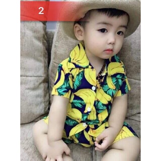 Combo 12 bộ trái cây