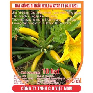 Hạt giống bí ngồi vàng